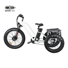 Hot Sale Adult 48V 500W Front Drive Trike Fat Tire Electric Tricycle